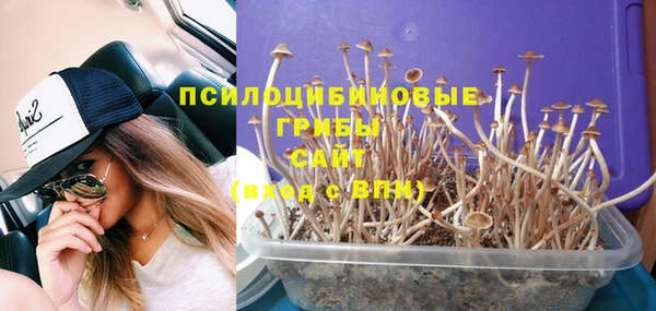 мяу мяу мука Алексин