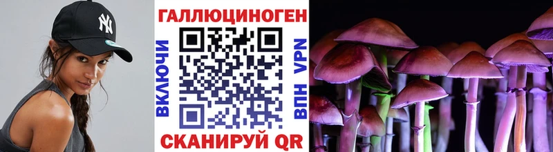 Галлюциногенные грибы GOLDEN TEACHER  Алупка 