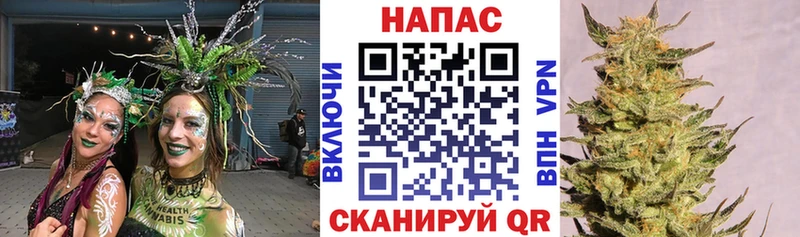 Бошки марихуана гибрид цена наркотик Алупка